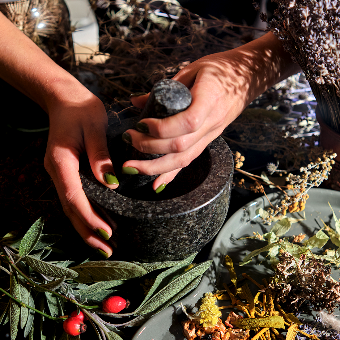 Herbalism Course