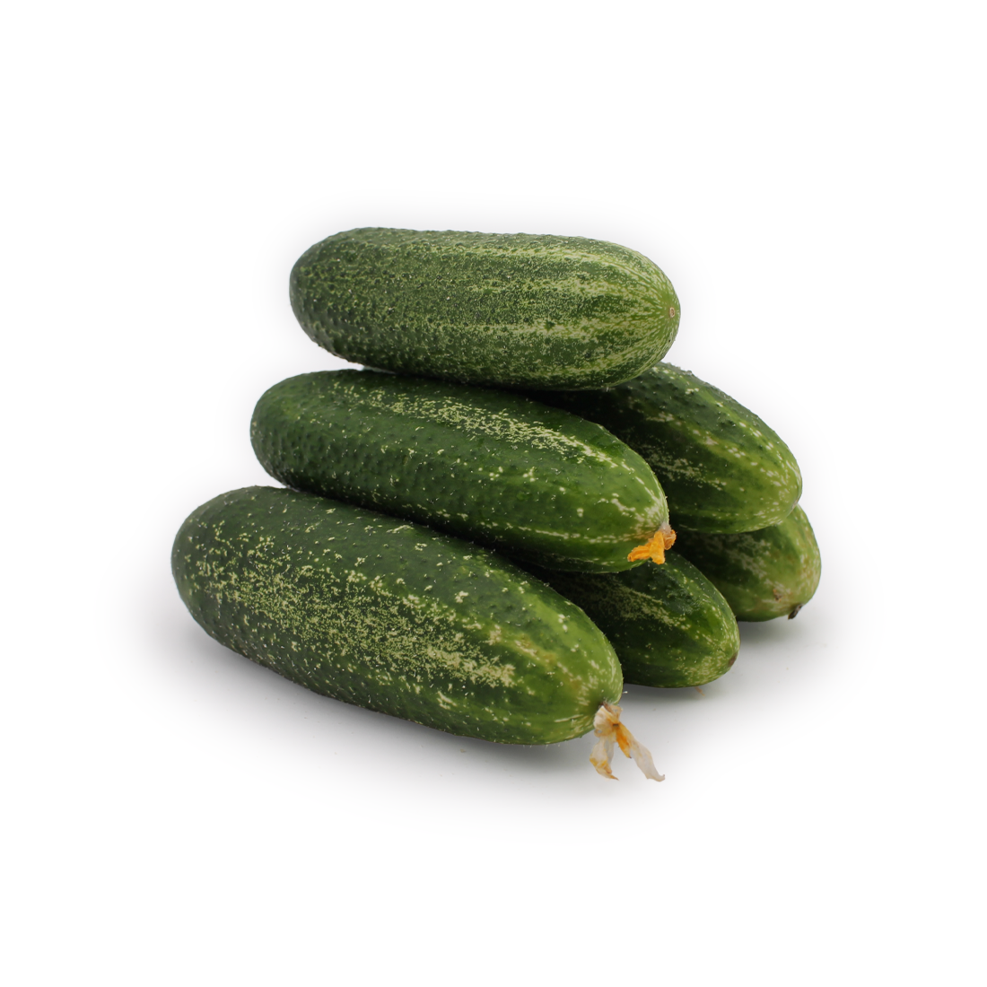 Fresh Cucumber Sweet Gherkins
