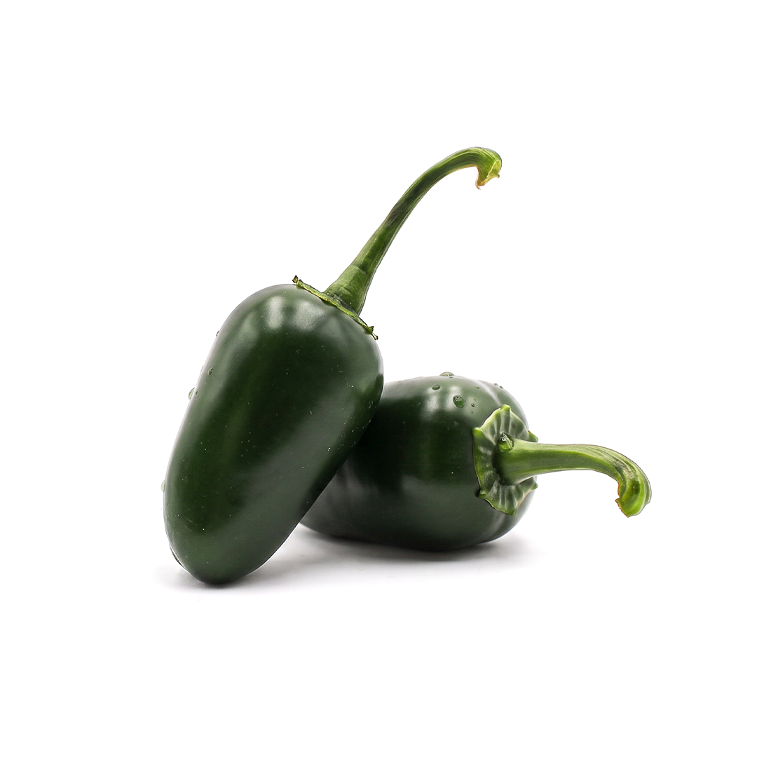 Fresh Jalapeño Peppers Black Bullet