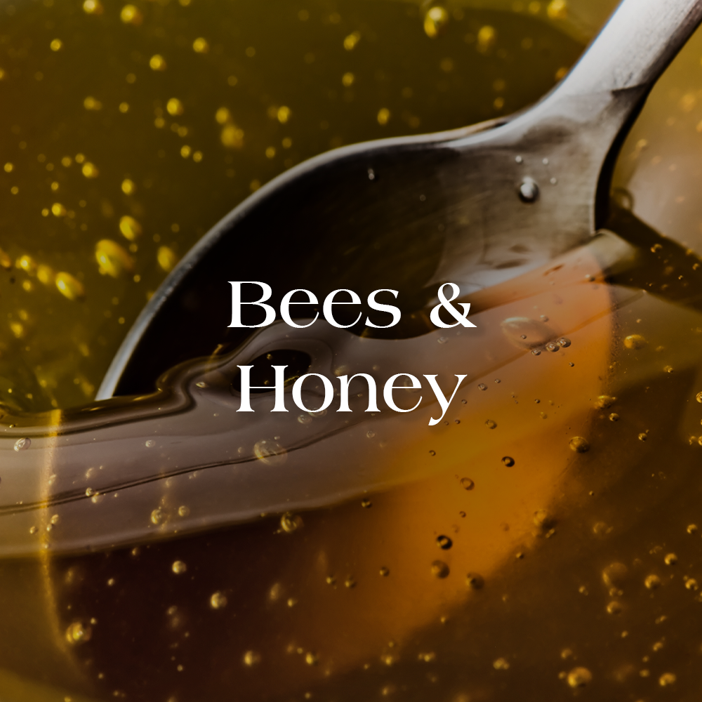 Bees & Honey