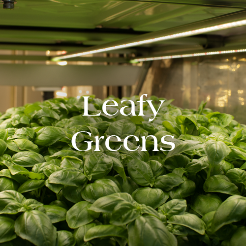 Leafy Greens