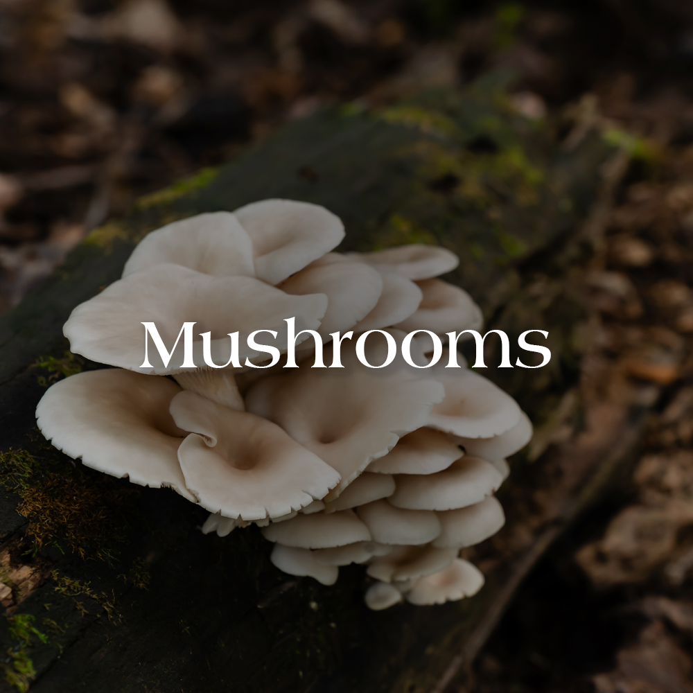 Mushrooms