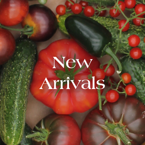 New Arrivals