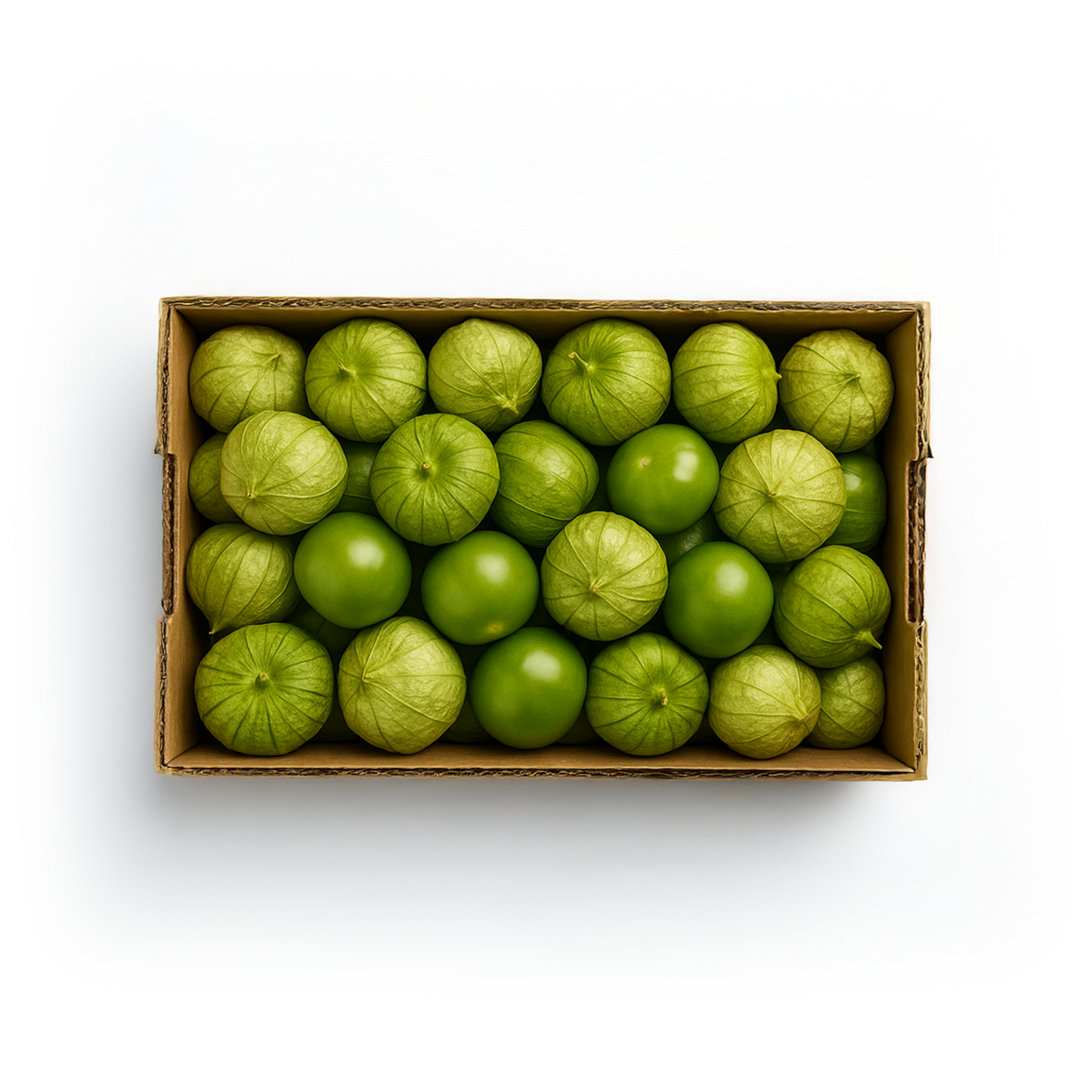 Fresh Tomatillos