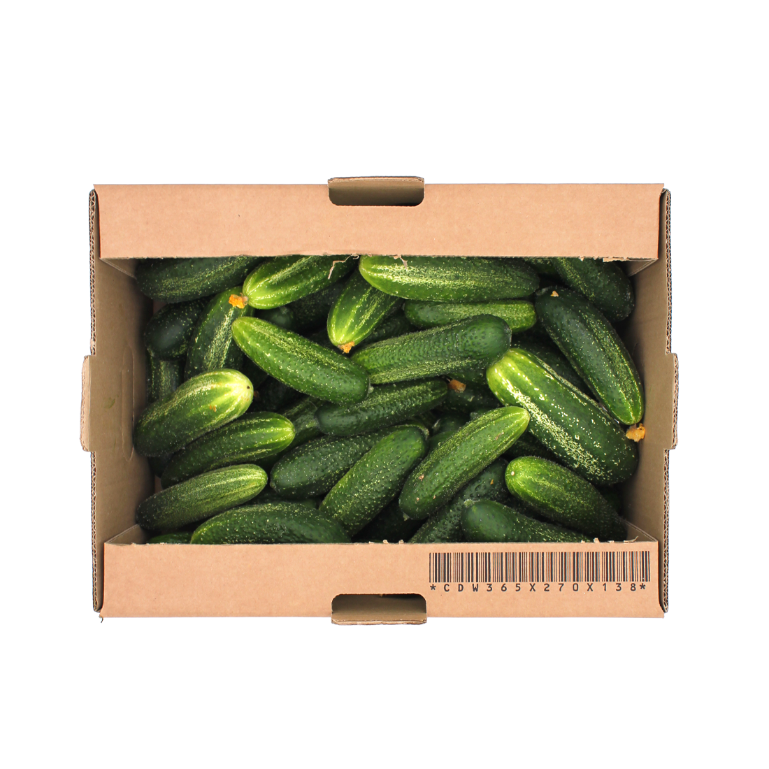 Fresh Cucumber Sweet Gherkins