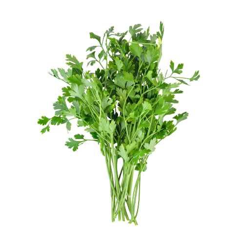 Fresh Flat Leaf Parsley